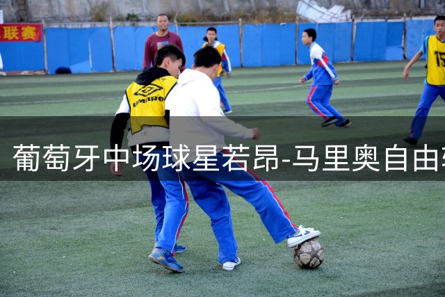 葡萄牙中场球星若昂-马里奥自由转会重返希腊AEK